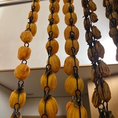 【新品・未開封】柿クリップ10本の画像