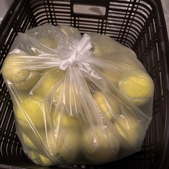 テニスボール50球の画像