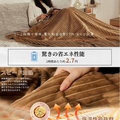 電気毛布 掛け敷き 電磁波カットの画像