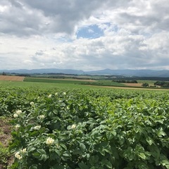 長期で働ける方大歓迎！！の画像