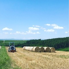 長期で働ける方大歓迎！！の画像