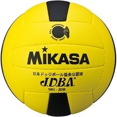 ドッジボール仲間募集