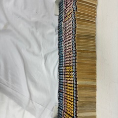 カメレオン全巻の画像