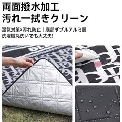 ほぼ未使用 厚手 防水 布 アルミ レジャーシート インナーシート 大判 2m×2mの画像