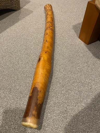 ディジュリドゥ