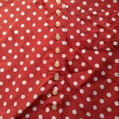 VISUAL SIGN シャツ エンジ×白 水玉 半袖 サイズ9号の画像