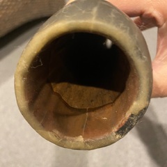 ディジュリドゥの画像