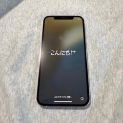 早い者勝ち！iPhone 12pro 256GB シルバーの画像