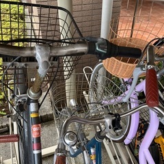 決まりました　自転車　の画像