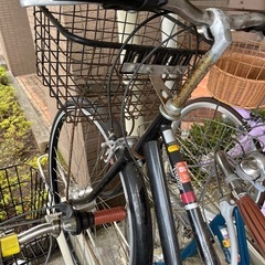 決まりました　自転車　の画像