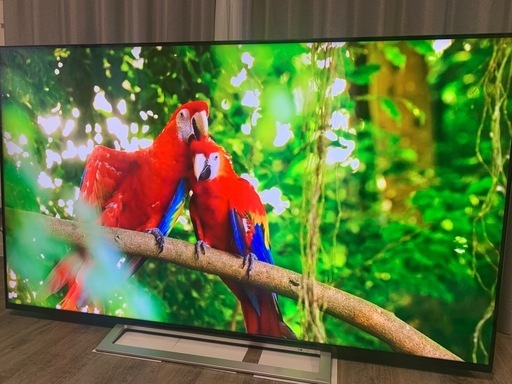 TOSHIBA REGZA 65インチ　65M520X