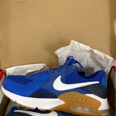 NIKE AIR MAX EXCEE 26.0cmの画像