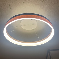 シーリングライト【2個セット】の画像