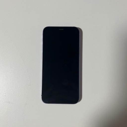 iPhone12 mini