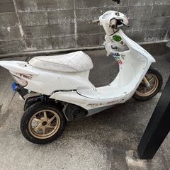 dio af34 zx の画像