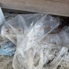 dio af34 zx の画像