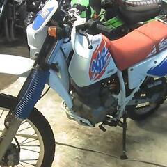 HONDA XLR200R 白 エンジン始動確認 自賠責保険で乗れます 半額配送キャンペーン 期間限定 現状渡し諸経費￥0- 横浜 P-Yardの画像