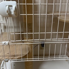 キャットゲージ　の画像