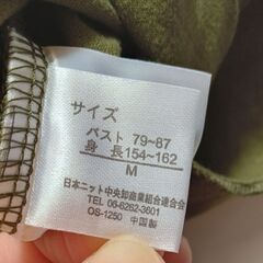 CALIFORNIA SHORE Tシャツ オリーブグリーン×金 半袖 サイズMの画像