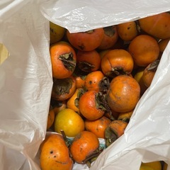 柿とみミカンの画像