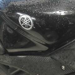 YAMAHA YZF-R150 黒 エンジン始動動画 自賠責保険で乗れます 半額配送キャンペーン 期間限定 現状渡し諸経費￥0- 横浜 P-Yardの画像