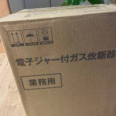 RR-S100VL 新品未使用 未開封の画像