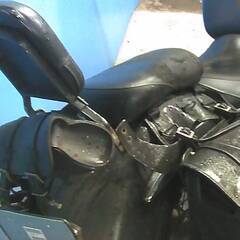 SUZUKI イントルーダー400クラシック 黒 車検残R8/7 格安提供車 半額配送キャンペーン 限定 現状渡し諸経費￥0- 横浜 P-Yardの画像