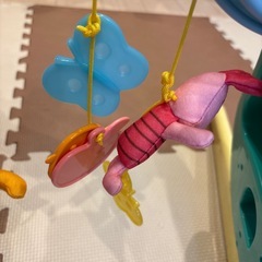 プーメリーの画像