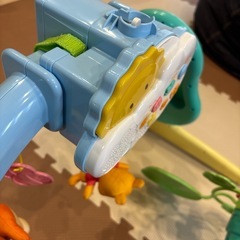 プーメリーの画像