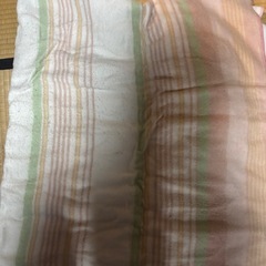 敷き電気毛布の画像