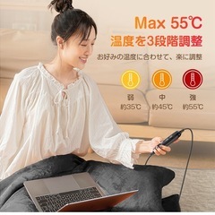 電気カーペット　持ち歩き可の画像