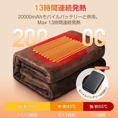 電気カーペット　持ち歩き可の画像