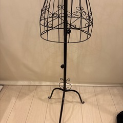 トルソーの画像