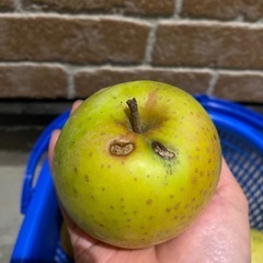 王林りんごの画像