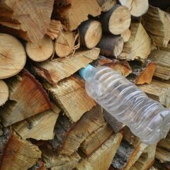 ■乾燥済み　広葉樹ミックス薪　約40kg 1110②　リピーター様に大好評！の画像