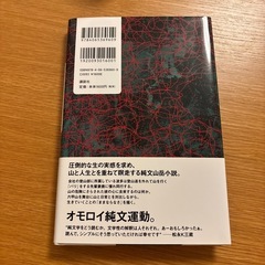 バリ山行の画像