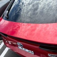 50プリウス後期(トヨタ認定中古車)の画像