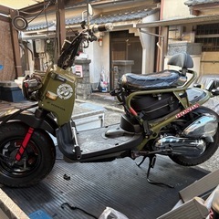 整備済みズーマ！の画像