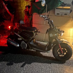 整備済みズーマ！の画像