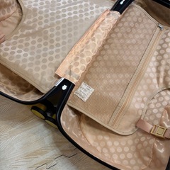 ノリッコ　キャリーケース　子供が乗れるの画像