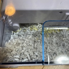 シュレッダー　11/16までの画像