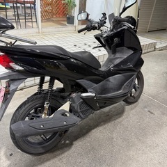 PCX jf56の画像
