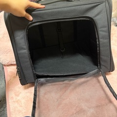 わんちゃんの3wayキャリーバッグ🐶の画像