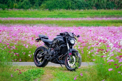 YAMAHA MT-07 2017年式(カスタム多数)