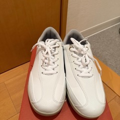 ゴルフシューズの画像