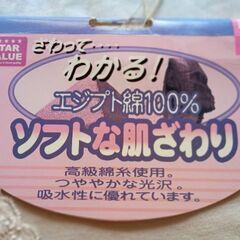 エジプト綿100% Mサイズインナーの画像