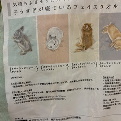 子うさぎが寝ているフェイスタオルの画像
