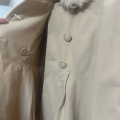 Lサイズ ベージュコートの画像