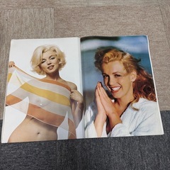 【レア】マリリンモンロー 1988年 ポスターブック 写真集の画像