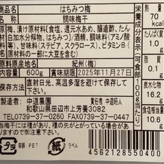 紀州南高梅　贈答品　600gの画像